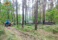 Броварський район: ліквідовано загорання лісової підстилки
