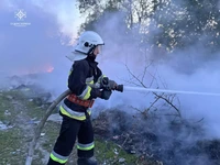 За минулу добу вогнеборці Сумщини сім разів ліквідовували загоряння сухої рослинності