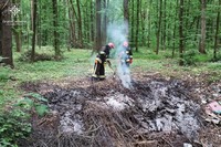 За добу вогнеборці Хмельниччини ліквідували 3 пожежі в екосистемах