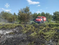 Протягом доби рятувальники Львівщини ліквідували 12 пожеж сухої трави