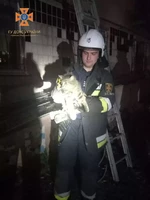 М. Знам'янка: рятувальники зняли кота з покрівлі споруди