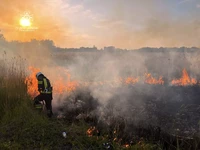 Протягом доби 24 травня рятувальники Львівщини ліквідували 5 пожеж сухої трави
