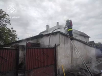 Золочівський район: під час ліквідації пожежі в гаражі вогнеборці врятували 650 каченят, що знаходились всередині будівлі