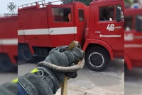 Кам’янський район: співробітники ДСНС відловили плазуна