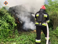 ІНФОРМАЦІЯ про пожежі, що виникли на Кіровоградщині протягом доби 28-29 травня