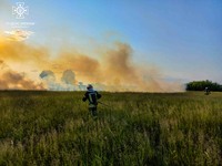 Броварський район: рятувальниками ліквідовано загорання трав'яного настилу