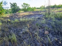 За минулу добу в області виникло 13 пожеж, 3 з яких в екосистемах