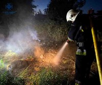 Київська область: рятувальники постійно залучаються до пожеж в природних екосистемах