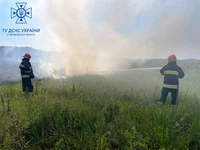 Упродовж минулої доби рятувальники Чернігівщини ліквідували 14 пожеж у природних екосистемах