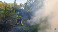 Чернівецька область: минулої доби на території Чернівецької області виникло 6 пожеж 3 з яких на відкритій території