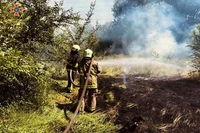 М. Нікополь: надзвичайники ліквідували пожежу в екосистемі
