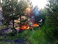 Обухівський район: ліквідовано загорання трав’яного настилу та сухих дерев