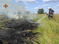 Бійці ДСНС ліквідували 4 пожежі в екосистемах