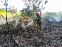 Білоцерківський район: рятувальниками ліквідовано загорання трав'яного настилу на відкритій території
