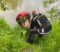 Фастівський район: рятувальники вилучили з водойми тіло потопельниці