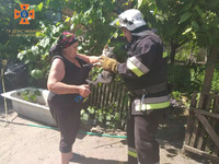 Олександрійський район: рятувальники дістали кішку з криниці