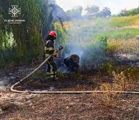 Вишгородський район: рятувальниками ліквідовано загоряння трав'яного настилу