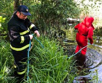 Київська область: рятувальники дістали з води тіло потопельника