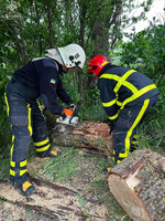 Упродовж доби рятувальники чотири рази надавали допомогу населенню у прибиранні та зрізанні аварійних дерев
