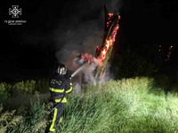 Білоцерківський район: рятувальниками ліквідовано загоряння дерева