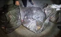 Поліцейські Полтавщини виявили чоловіка, який займався незаконним виловом риби