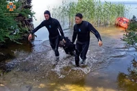 М. Кам’янське: рятувальники доправили до берега тіло потонулого чоловіка