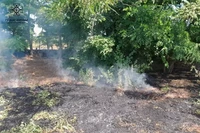 Криворізький район: вогнеборці ліквідували займання в екосистемі