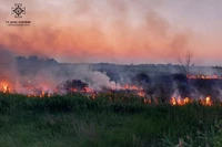На Дніпропетровщині протягом доби ліквідовано 19 пожеж в екосистемах