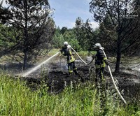 Київська область: тільки впродовж доби рятувальники 20 разів залучались на ліквідацію пожеж в природних екосистемах