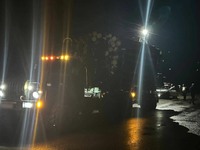 На Тячівщині поліції затримала вантажівку з нелегальною деревиною: відомості внесено до Єдиного реєстру досудових розслідувань