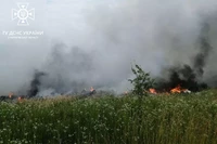 Чернігівська область: за минулу добу рятувальники ліквідували 6 пожеж в природних екосистемах