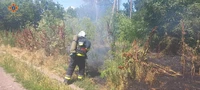 Кіровоградська область: рятувальниками ліквідовано 9 пожеж на відкритій території