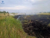Житомирський район: упродовж доби вогнеборці ліквідували два загоряння сухої трави