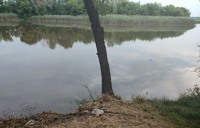 Слідчі поліції Полтавщини встановлюють обставини загибелі чоловіка, тіло якого виявили у водоймі на Миргородщині