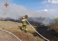 Кіровоградська область: рятувальниками ліквідовано 7 пожеж сухої рослинності на відкритих територіях