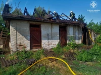 Рятувальники ліквідували пожежі двох надвірних споруд