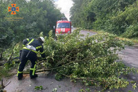 Гайсинський район: рятувальники прибрали з автошляху повалене вітром дерево