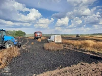 Миколаївська область: минулої доби зареєстровано 14 пожеж
