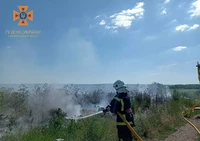 ІНФОРМАЦІЯ про пожежі, що виникли на Кіровоградщині протягом доби 30 червня-1 липня