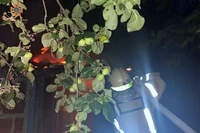 Синельниківський район: внаслідок пожежі в житловому будинку чоловік отримав отруєння продуктами горіння