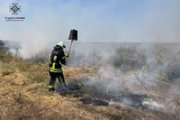 Нікопольський район: вогнеборці загасили займання на відкритій території