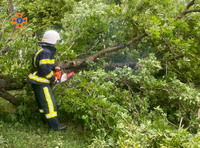 Рятувальники прибрали повалені вітром дерева