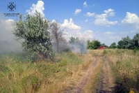 Протягом доби рятувальники Дніпропетровщини ліквідували 42 пожежі на відкритих територіях