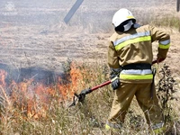 На Миколаївщині знову горять сухостої, вогонь розповсюджується на приватний житловий сектор