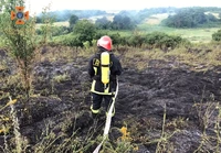 Кіровоградська область: впродовж доби пожежно-рятувальні підрозділи ліквідували сім пожеж сухої трави