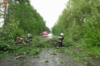 Рятувальники Хмельниччини ліквідували наслідки негоди: повалені дерева та підтоплені приватні домоволодіння