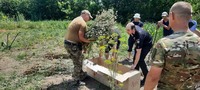В Бериславському районі поліцейські виявили посів із майже 1000 кущів опійного маку