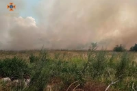 Кам’янський район: надзвичайники приборкали масштабну пожежу в екосистемі