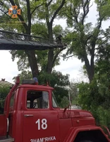 Рятувальники Кіровоградщини шість разів залучалися на надання допомоги по розпилюванню та прибиранню аварійних дерев