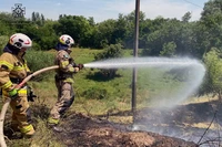 Нікопольський район: вогнеборці двічі ліквідовували займання в екосистемах